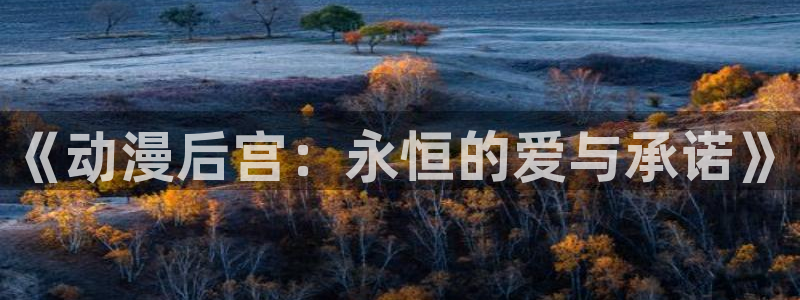 omofun动漫官网入口：《动漫后宫：永恒的爱与承诺》