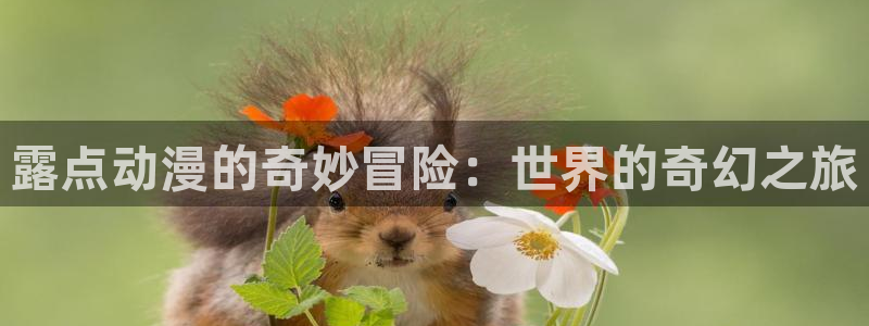 omofun.动漫在线看：露点动漫的奇妙冒险：世界的奇幻之旅