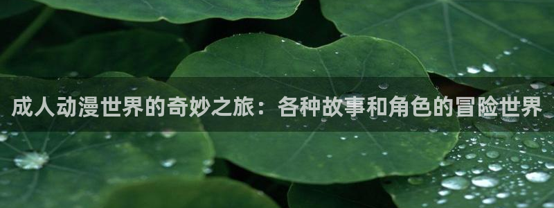 omofun动漫官网入口安卓：成人动漫世界的奇妙之旅：各种故事和角色的冒险世界